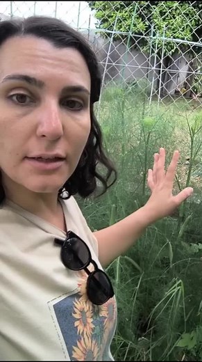 ¿Qué planta es? Identificación y cuidados de plantas