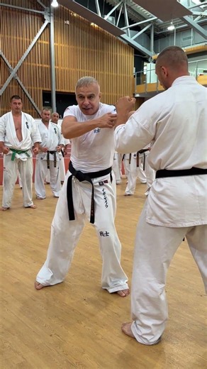 Shihan Ivo Kamenov with a precise technique demonstration during one of the training sessions