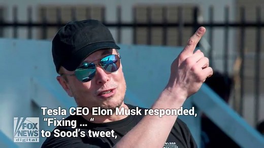 Tesla fixing 'Dog Mode' climate feature to avoid tragedy