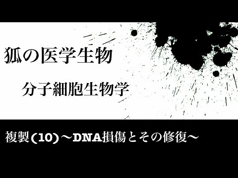 分子細胞生物学23 複製(10)〜DNA損傷とその修復〜