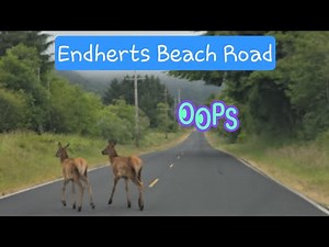 Crescent City, California Coastal Drive | Exploring Enderts Beach Road