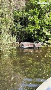 78K views · 690 reactions | Found a pirate ship in the canal today | Python Cowboy Hunts | Facebook