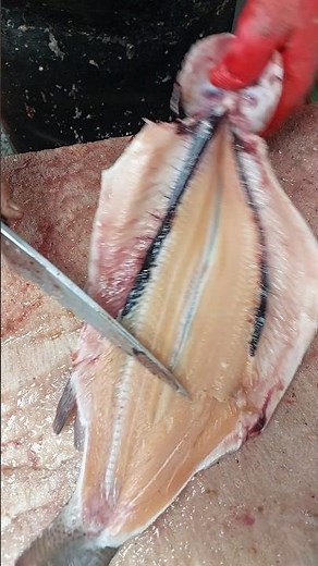 Super-fast way to fillet trout