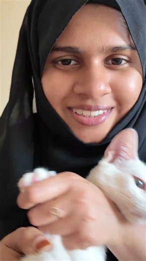 How to പൂച്ചയുടെ നഖം വെട്ടൽ ? #uaecats #kitten #keralapets