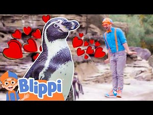 The Penguin Song - Visiting Penguins at the Zoo 🐧❄️ | BLIPPI MUSIC VIDEO! | Sing Along With Me!