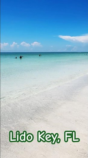 🌴 Lido Key Beach In Sarasota, Florida 🌴