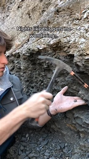 5.4K views · 25 reactions | Little did this shark know that a primate would find a trace of its existence and wonder at it, 92.1 million years later | Fossils Explorer | Facebook