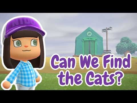 PAWTOPIA | Can We Actually Find Some Cats?! Ep. 1 #acnh