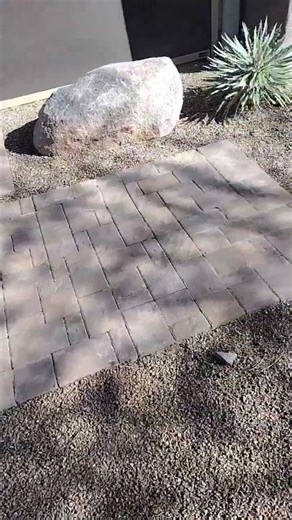 root removal from under the pavers