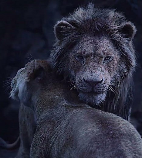 Simba Saves His Mother 🦁 The Lion King Emotional Scene #shorts