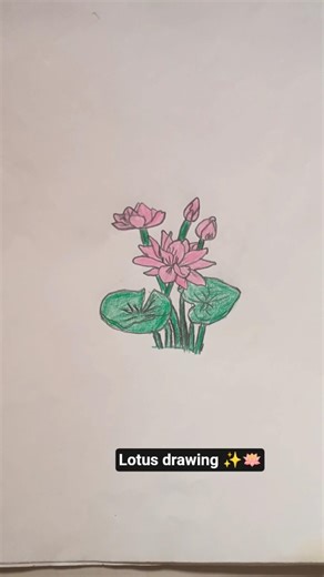 Lotus Flower Drawing | Simple & Beautiful Art Tutorial 🪷✨ #drawing #artstyle #explorepage #ytshorts