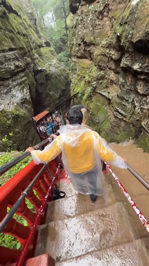 Harsh kharole l Travel on Instagram: "Mahadev ka doosra ghar ✨🔱 9425433747 / 851 8012010 (Reservation & Enquiry) 7578252162 / 8889950505 (Reception) www.hotelutkarsh.com hotelutkarshpcm@gmail.com Subhash road, Pachmarhi (M.P.) 💧 1. Silver Fall (Rajat Prapat) Tallest waterfall, looks like silver pouring from the cliffs. Trek through forest paths to reach it. 🌿 2. Sangam Trek Hidden forest trail where two jungle streams meet — peaceful, uncrowded, perfect post-monsoon. 🌄 3. Dhoopgarh Highest p