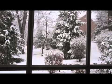 Stock Video Footage: Winter Snow Fall