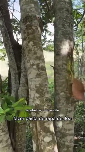 quem aí já fez isso ? #viral #nordeste