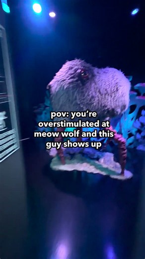 pov: you're overstimulated at meow wolf