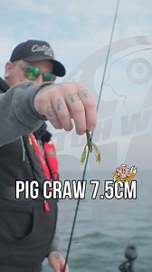 The New Pig Craw 7.5cm💥 Check them out in your local tackle shop! #catchwithcare #pigcraw | Catch With Care