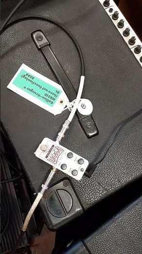 Electro-Harmonix Rerun tape delay with Pedulla Fretless