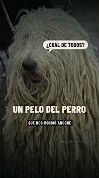 ¿Amaneciste crudo?