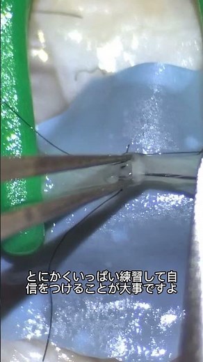 手羽先で血管吻合練習 #Shorts