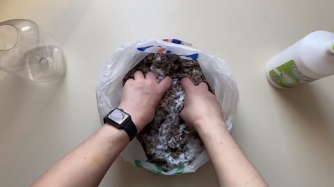 DIY Papier-Mâché Vase from a Plastic Bottle