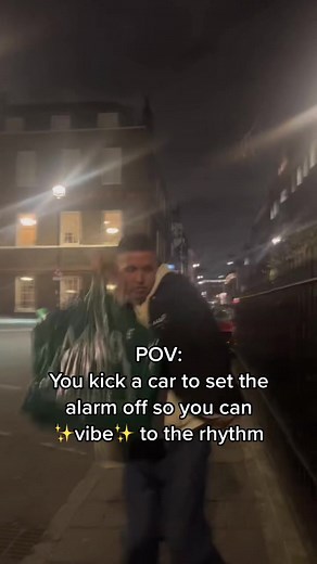 Kick a Car Alarm POV: 🚗💥