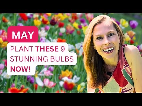 Plant these EASY bulbs NOW for breathtaking SPRING flowers! 🌸 (MAY Deadline for All Aussie Growers)