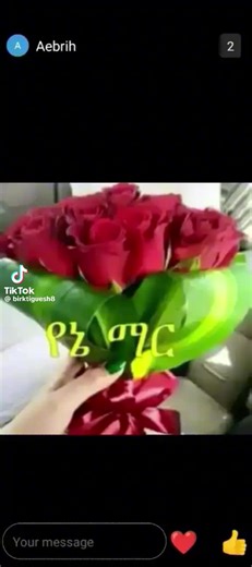 tsge tsf (@tsge.tsf)’s videos with original sound - tsge tsf