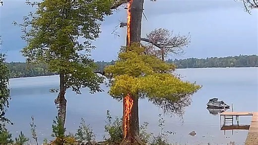 Wisconsin Tree Hit By Lightning Explodes Into Flames