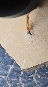 55K views · 459 reactions | Can you guess what I have been meticulously working on in the lab? This specimen is definitely a gem!  Stay tuned for more... #Science #Discovery #LabLife #paleontology #crocodile #digging #Wyoming #quarrylife #fossils #museum #quality #specimen #collection | In Stone Fossils | Facebook