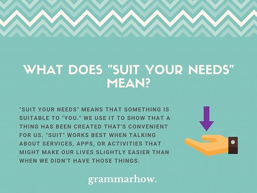 "Suit Your Needs" - Correct Spelling & Usage (With Examples)