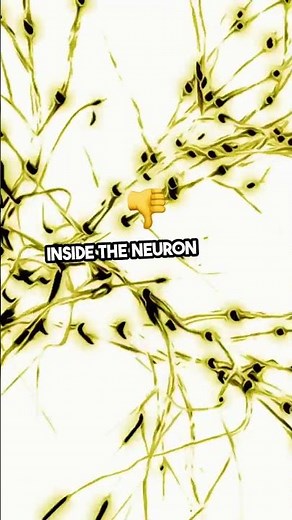 Mind-Blowing Insights into What Initiates Action Potentials in Neurons!!