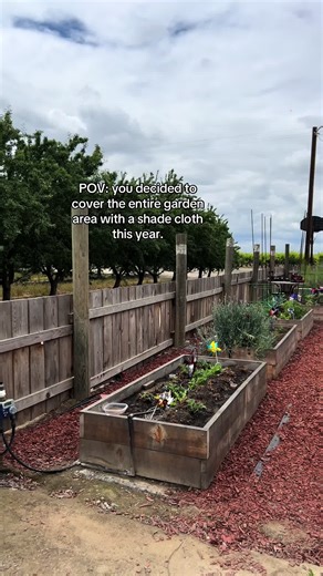 Benefits of Using Shade Cloth for Summer Gardening