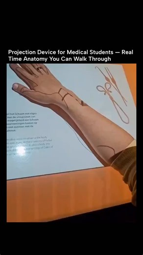 Ai hoods | Learning anatomy no longer means staring at flat diagrams or plastic models. Using advanced medical imaging and projection mapping,... | Instagram