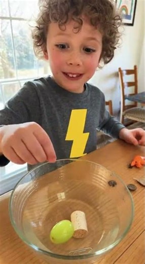 Kid Explains a Science Experiment Like a Pro 🔬😄science is fun
