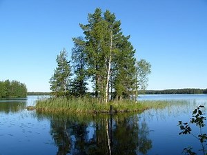 Finland's wonderful wildlife