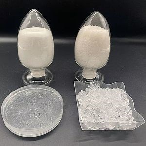 [Hot Item] Sap Super Absorbent Polymer Sodium Polyacrylate Particles for Agriculture