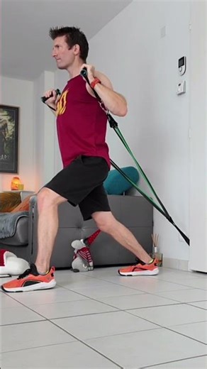 Upper part of the pectorals, with elastics at the door