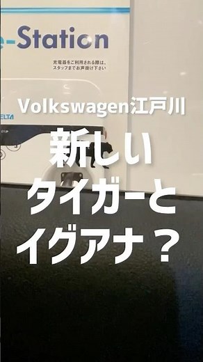 いよいよ新型ティグアンデビュー❗️R-lineの展示車が江戸川にやってきた❗️#tiguan #vw#polo #tcross #golf #troc#touran#passat