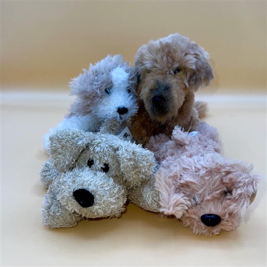 Puppy Dog Doodle Stuffed Plush Collection, Cockapoo Labradoodle Goldendoodle Wheaten Whoodle - Etsy