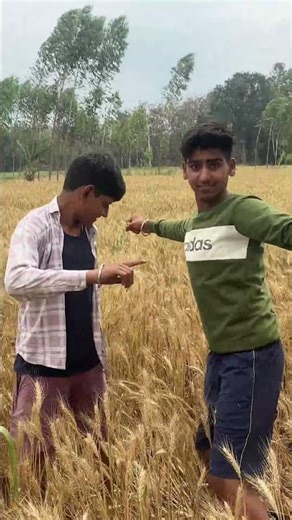 गेहू के कटाई 🤣😂#funny #trending #surajroxfunnyvideo #funnyprabhakar88 #shortfeed #comedy