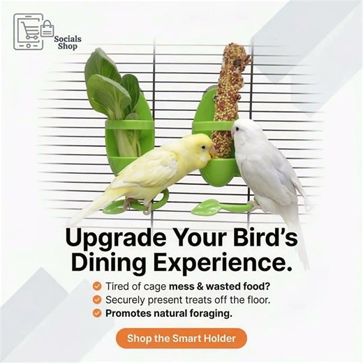 Bird Cuttlebone Holder - Cage Feeding & Vegetable Fruit Holder for Parrots, Budgies, Cockatiels