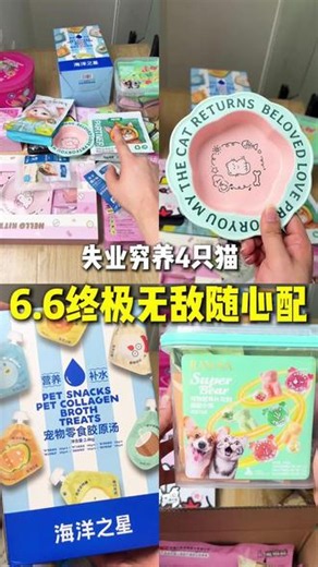 6.6的猫零食随心配到底有啥#猫零食 #随心配 #新手养猫 #养猫日常