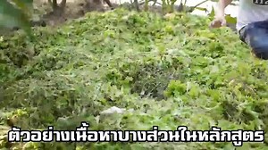 นี่คือคอร์สออนไลน์ที่จะช่วยให้คุณทำธุรกิจเลี้ยงไส้เดือนเพื่อสร้างรายได้หลัก / เสริมแบบจัดเต็ม 🔥 🔥 🔥.... เจาะลึกทั้งการเลี้ยง และการตลาดการขายแบบครบทุกมิติ คุณจะได้เรียนรู้ทั้งวิธีการเลี้ยง การทำปุ๋ยอินทรีย์และปุ๋ยน้ำคุณภาพสูงจากมูลไส้เดือน รวมทั้งวิธีสร้างรายได้แบบหลากหลายช่องทาง . สอนโดย 👥 ดร. คณวัฒน์ ธีรนิธิวัฒน์ และ อ. ศศิธร จุ้ยนาม 👥 จากประสบการณ์จริงกว่า 15 ปี สู่ 18 บทเรียน (ความยาว 6 ชั่วโมง 7 นาที 14 วินาที) ที่จัดให้แบบ “ข้นคลั่ก” พร้อมบทสัมภาษณ์พิเศษ Success Case 2 ผู้เรียน .... ส