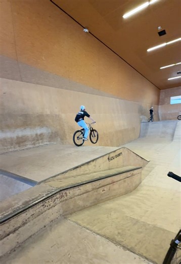 Linz Box: Ned Flip Approved Mountain Bike Review