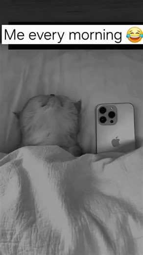 FunnyForYouTikTok op TikTok