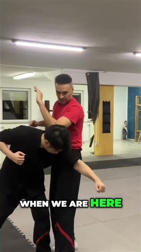 Let’s build your own wing tsun school www.wingtsun-masterclass.com