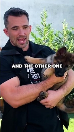 Master the Art of Marker Training with Your Puppy!