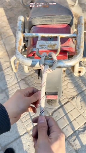 This Constrictor Knot Locks a Bike Carrier Instantly ✨