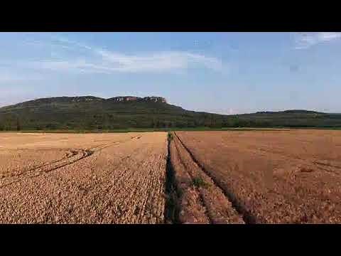 Aerial View of Golden Wheat Fields