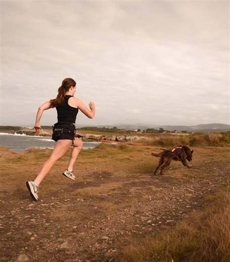 Canicross Training for Border Collies in Dog Sports